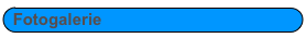 Fotogalerie
